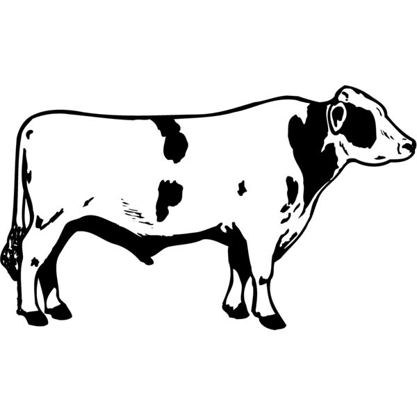 COW020 Thumbnail